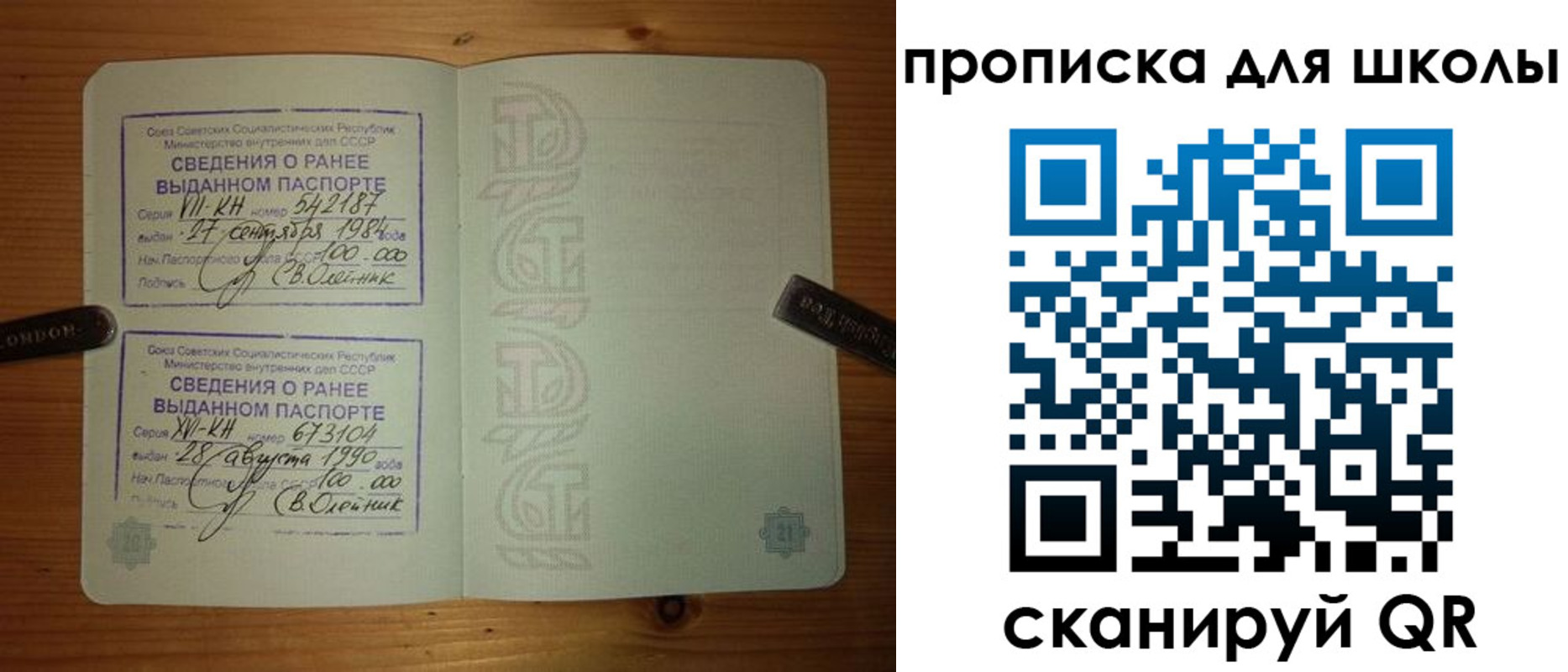 прописка для школы в Снежногорске